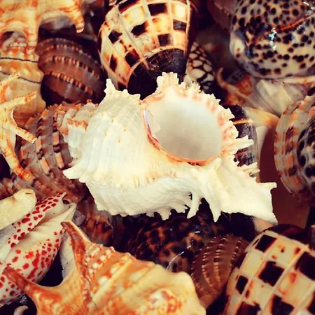 Lovely Estrela Vau - Swimming Pool View Portimão