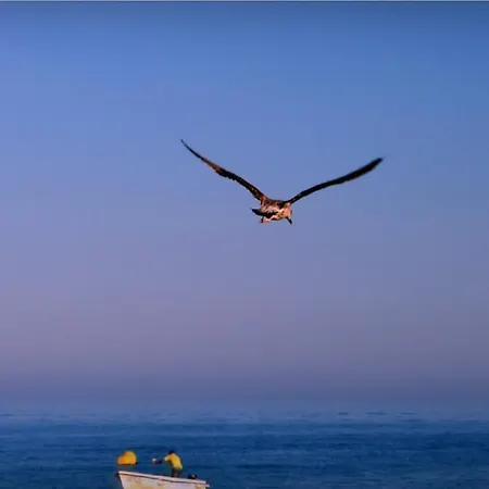 Apartmán Lovely Estrela Vau - Swimming Pool View *