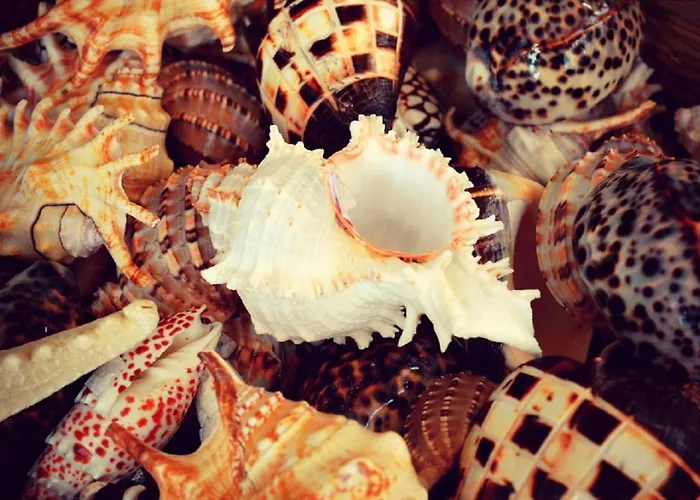 Lovely Estrela Vau - Swimming Pool View Portimão