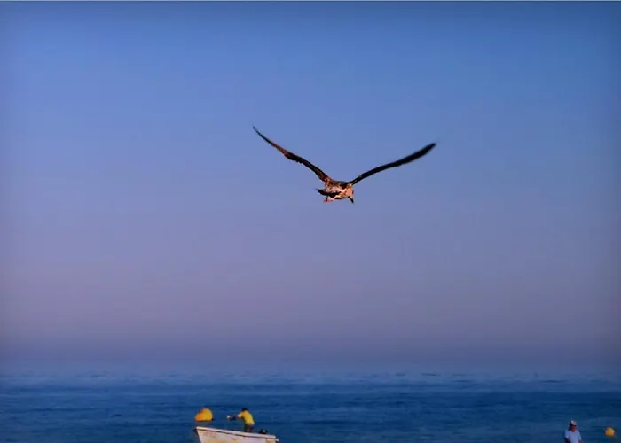 דירה Lovely Estrela Vau - Swimming Pool View *